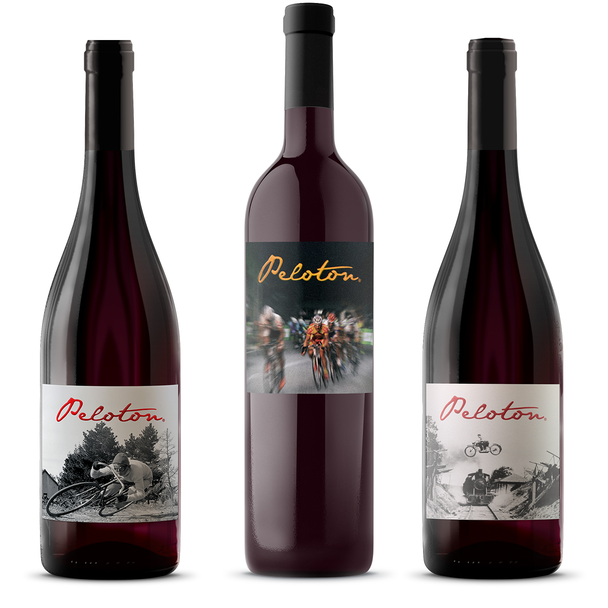 red wine labels for Peloton Cellars