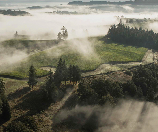 image of Sonoma Coast appellation