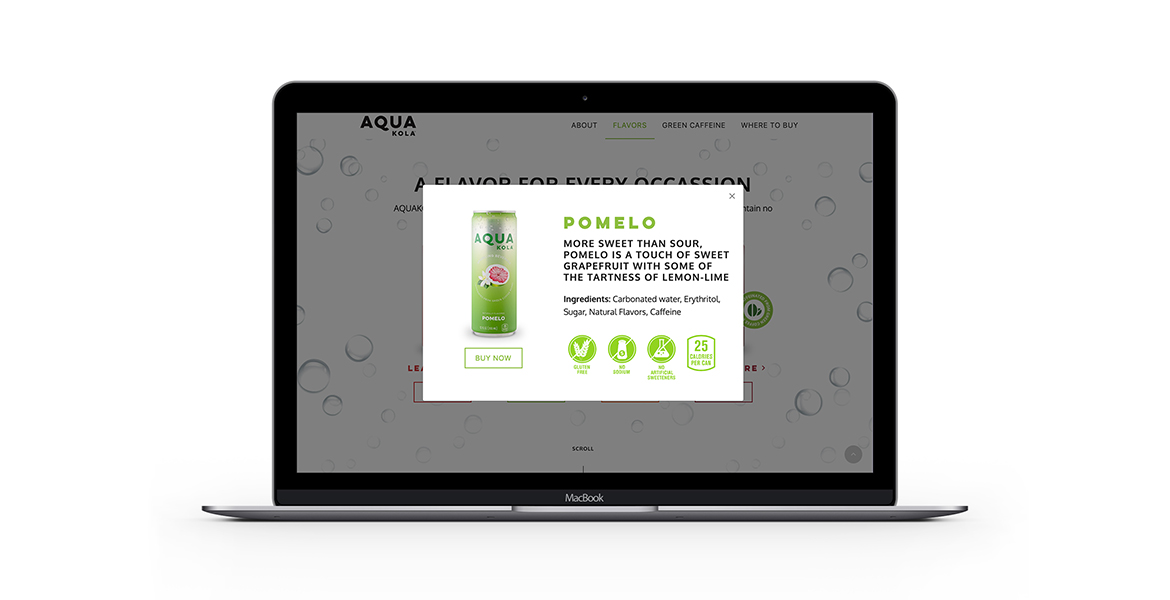 AQUAKOLA responsive website